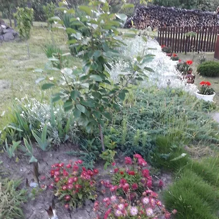 Matyasmadar Vendeghaz 4* Tard