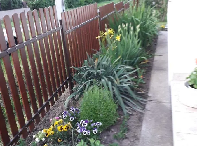 Matyasmadar Vendeghaz Tard